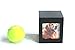 Heavenly Home Pet Keepsake Multiple Photo Cube Pet Urn for 1 to 4 Pictures Cremation Memorial for Pet Lovers Acrylic Glass Photo Protector Resting Place for Cat or Dog (15 Cubic Inches)