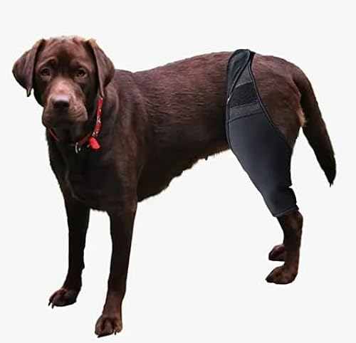 WENQUSEN Dog Hip Brace Supportive Brace for Dogs Recovering from