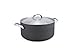 GreenPan Paris Pro Hard Anodized Healthy Ceramic Nonstick, Stockpot with Lid, 5QT, Gray