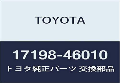 Toyota 17198-46010