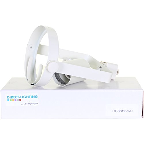 Direct-Lighting 50006 White PAR38 Gimble Ring Line Voltage Track Lighting Head