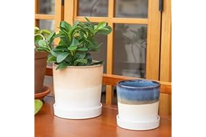 Chonsun Ceramic Planter Set of 2Pcs 6+5 Inch Plant Pots Indoor Oudoor Planter with Drainage Hole Flower Pots Plant Pots Mid-Century Planter Ceramic Fade Coffee and Blue
