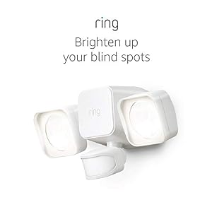 Ring Smart Lighting – Floodlight, Battery-Powered, Outdoor Motion-Sensor Security Light, White (Bridge required)