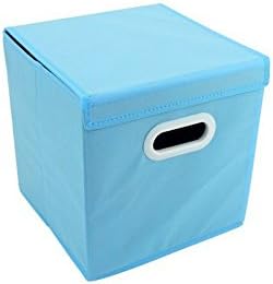 RYS Disposable Shoe Cover Box/Organizer for Realtors, Foldable(Blue)