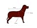 niceEshop(TM) Fashion Soft Cotton Dog Hoodie Pet Clothes