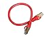 Rosewill 1-Feet Cat 7 Red Color Shielded Twisted Pair (S/STP) Networking Cable (RCNC-11041)