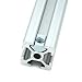 HOBBYMATE M5 Sliding Nut, Slide in T Nut for 2020 Series Aluminum Extrusion Profile Slot 6mm (Pack of 60)