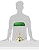 Lite Source LS-224PB Desk Lamp with Green Glass Shades, Steel Finish