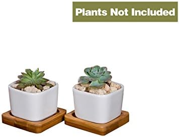 JDWNF 2 Inch Super Mini/Cute Square Succulent Plant Pots, Flower Pots White Plant Pot Perfect for Home Office Window Boxes (Pack of 2)