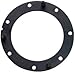 Denso 954-0005 Fuel Pump Tank Seal