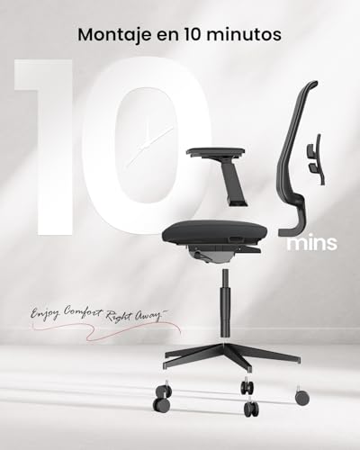 ProtoArc Ergonomic Desk Chair High Back Nylon Mesh, Incline Weight-Adaptive, Breathable Seat, Adjustable Arms, Tilt Lock (Flexer Pro – Black)