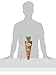 Lindt Large Chocolate Carrot Box, Assorted Chocolate, 18.8 Ounce