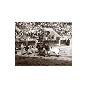 Antología de la fotografía taurina: 1839-1939 (Spanish Edition)