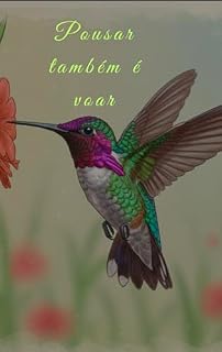 Livro Pousar também é voar