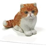 CAT PERSIAN (Ginger/White) Kitten 