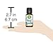 Easy Breathe Essential Oil Blend with Peppermint, Eucalyptus, Clary Sage, Rosemary, Cedar, Aromatherapy by Creation Pharm