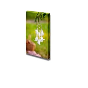 Dream Catcher Against a Blurred Green Grassland Wall Decor
