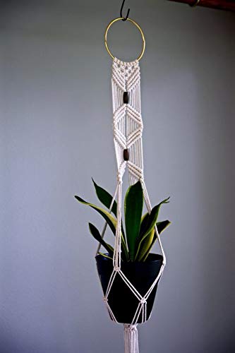 Modern Indoor Hanging Planter