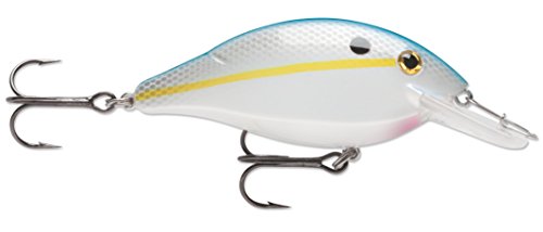 1/4 Speed Trap Blue Shad