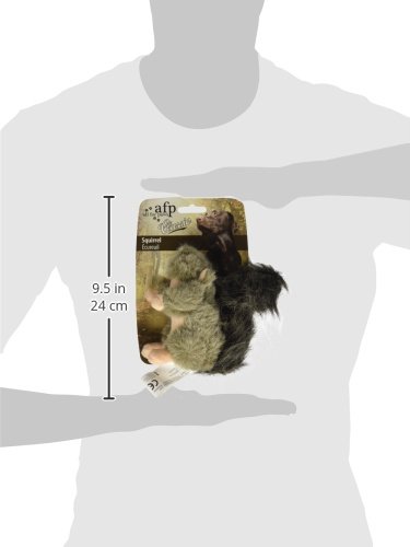 ALL FOR PAWS Classic Squirrel Pet Toys, Small