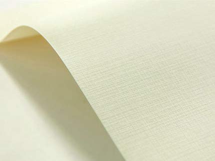 Netuno 20x Cream Checkered Embossed cardstock A4 210x297mm 8.3x11.7in 246gsm Elfenbein Textured Paper Decorative cardstock for Invitations menus Photo Albums Table Cards Covers Business Cards Flyers