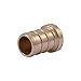 SharkBite 1/2 Inch Crimp Plug, Pack of 5, Brass Plumbing Fitting, PEX Pipe, PE-RT, UC514LFA5