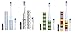 Violife Slim Portable + Sonic Toothbrush Set, Designs As Pictured, 4 count, (Silver, Confetti, Ocean, Candy Stripe)