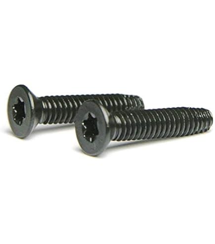 Torx T40 Trailer Deck Screws in 5/16-18 2-1/2