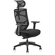 CLATINA Ergonomic Mesh Executive Chair with 4D Arm Rest and Adaptive Synchronize Seat High Back Swivel for Home Office