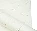 Bilipala Natural Plant Handmade Xuan Paper Rice Paper Letter Paper Red