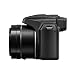 Panasonic Lumix DC-FZ80 Digital Point & Shoot Camera – Bundle with 16GB SDHC Card, Camera Bag, Cleaning Kit, Memory Wallet, Card Reader, PC Software Packagethumb 3