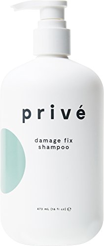 PrivÃ© Damage Fix Shampoo ( 16 Fluid Ounce / 473 Milliliter )-Repair Dry and Over-Processed Hair From Within and Protects From Future Additional Damage