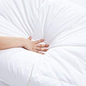 SHEONE All Seasons Lightweight White Goose Down Comforter-650 Fill Power-100% Cotton Shell Down Proof-Solid White Hypo-allergenic Duvet Insert With Tabs (Queen)