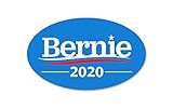 Stick It On Decals Bernie Sanders 2020 Car Decal/Sticker