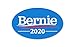 Stick It On Decals Bernie Sanders 2020 Car Decal/Sticker
