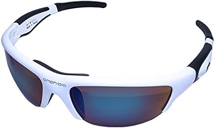 amphibia sunglasses