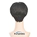 RUISENNA Short Hair Wigs for Black Woman Natural Straight Pixie Cut Wigs 100% Heat Resistant Fiber black Synthetic Wig