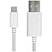 RND Power Solutions MFi Certified Lightning USB 10ft Cable for Apple iPhone and iPad (Pro, Air, Mini) (10 feet/3M/White)