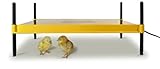 Brinsea Products Brooder for Warming Newly Hatched Chicks and Ducklings