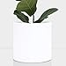 PEACH & PEBBLE 10 Inch White Ceramic Planter. Classic Cylinder Plant Pot for House Plants and Indoor Plants (Drainage + Stopper Included).