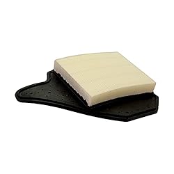 EcoGard XA6165 Premium Engine Air Filter Fits Dodge
