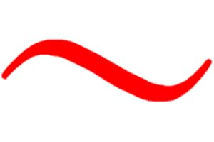 Newswinds Canada