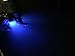 Typhon Transom Drain Plug Led Light Made in the U.S.A. Blue *Lifetime Warranty*