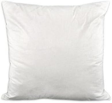 20x20 pillow insert