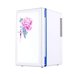 Refrigerador del automóvil mini portátil refrigerador eléctrico y ...