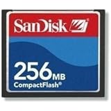 SanDisk 256 MB Compact Flash Card (Bulk)