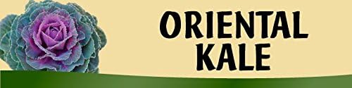 Retail Sign Systems 159-2T- FreshLook "Oriental Kale" Fresh Look Design Produce Insert, 2-Track