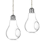 Novelty Gifts Set of 2 Hanging Light Bulb Terrarium, Clear Glass Air Plant Terrariums With Hanging String, Glass Votive Holders