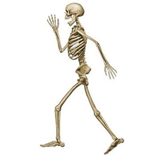 hersrfv home Halloween Profile Pete 3-Foot Jointed Skeleton
