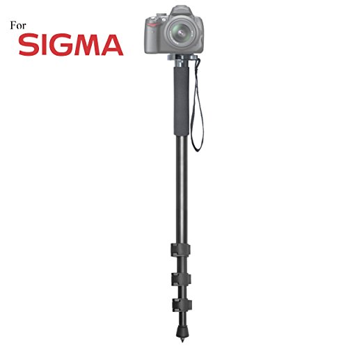 Buy Versatile 72" Monopod Camera Stick + Quick Release for Sigma DP2x